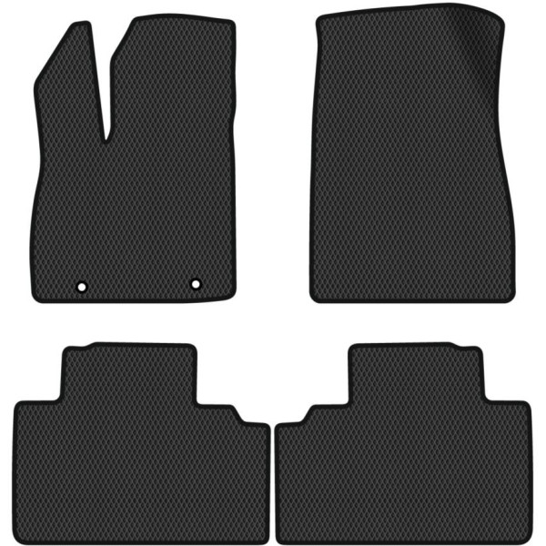 Polymer EVA mats BYD Sealion 05 from 2025
