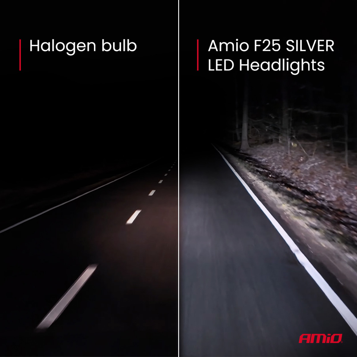 LED headlight bulbs F25 SILVER FULL CANBUS H1 54W 12V 24V AMIO-04701